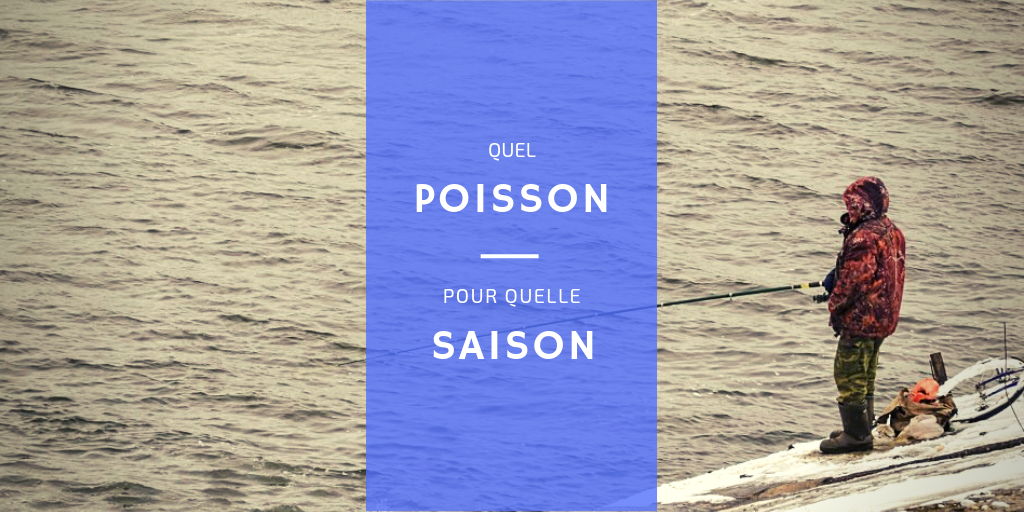 Calendrier des Saisons de Pêche en Mer | MieuxPêcher.com Calendrier des Saisons de Pêche en Mer | MieuxPêcher.com