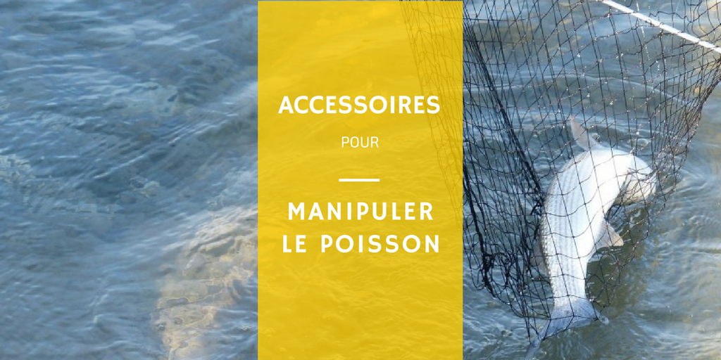 Accessoires de Pêche AliExpress pince epuisette metre balance poisson capture