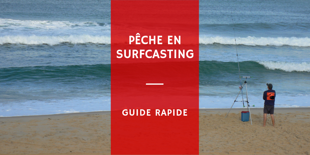 Pêche Du Maigre En Surfcasting - REMOEQ