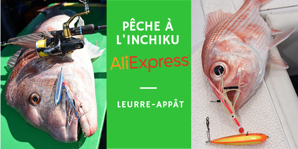 Liste d'inchiku AliExpress pas chers et qui prennent du poisson